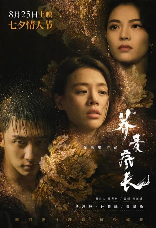 亚琛应用技术大学证书